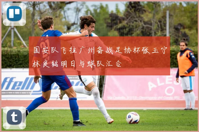 国安队飞往广州备战足协杯张玉宁林良铭明日与球队汇合